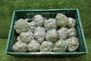 Broccoli exclusief