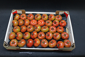 Tomaten Vlees Tomabel BB