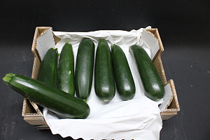 Courgettes 14 st. Kl. 1-2