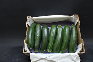 Courgettes 14 st. Kl. 1-2