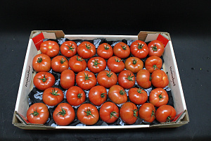 Tomaten Vlees Tomabel BBB