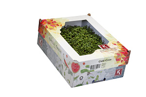 X Chilli Cress