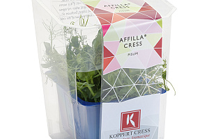 X Affila Cress Single