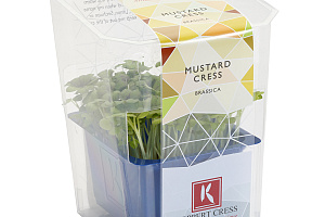 X Mustard Cress Single