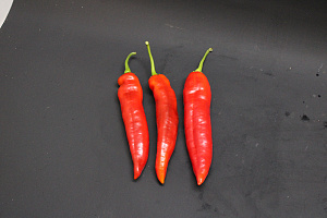 Paprika Punt Rood Supers