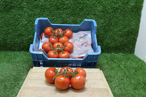 Tomaten Tros Prince Supers