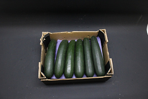 Courgettes G - 14