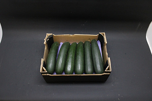 Courgettes G - 14