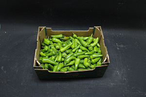 Peper Groen Jalapeno