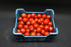 Tomaten Klasse II