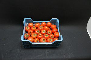 Tomaten A Tomabel