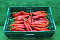 Paprika Punt Rood Supers