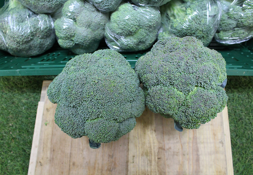 Broccoli exclusief