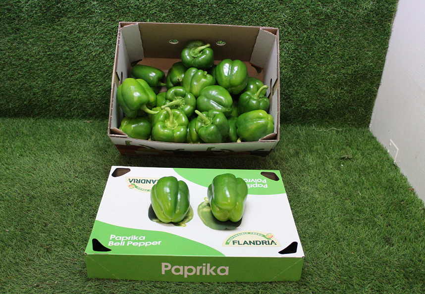 Paprika Groen 85