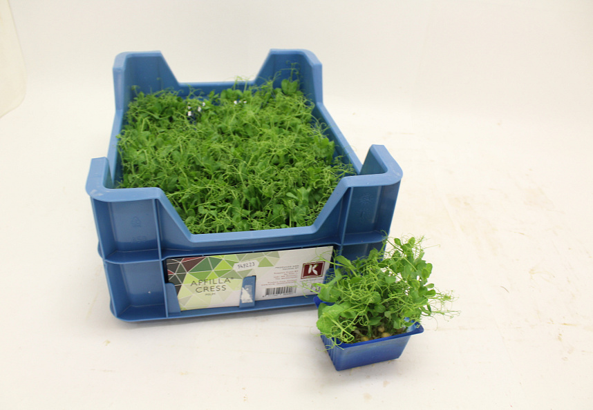 X Affilla® Cress