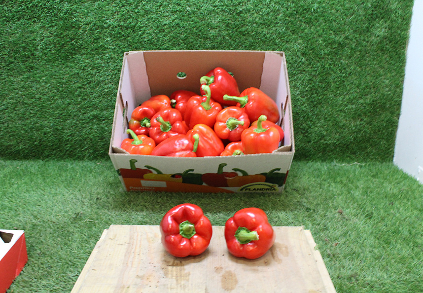 Paprika Rood 85