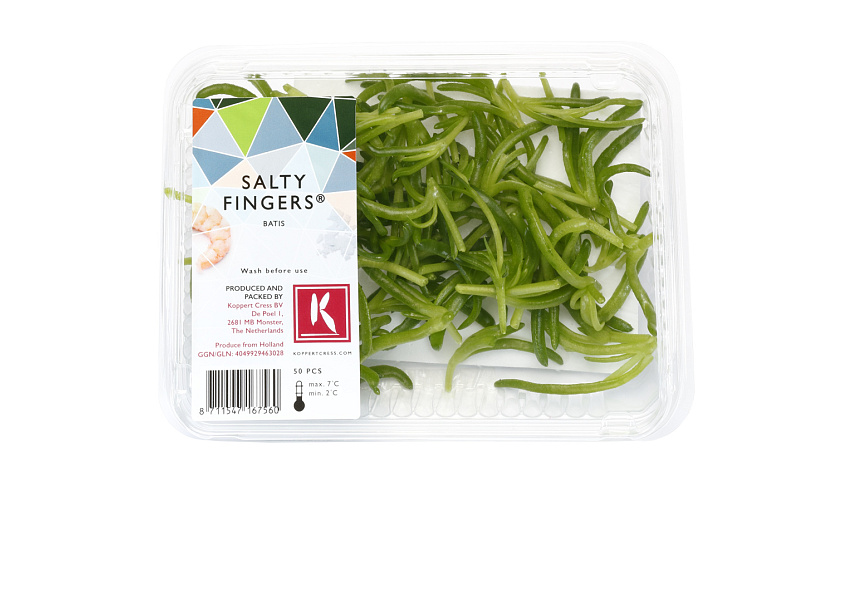 X Salty Cress Fingers