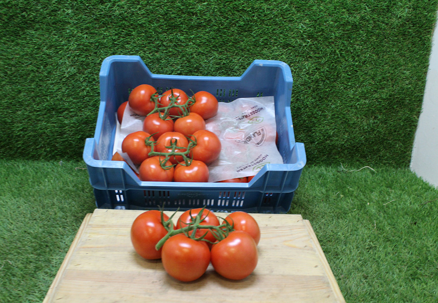 Tomaten Tros Prince Supers