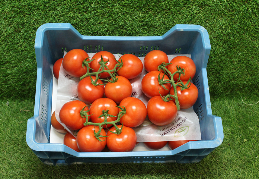 Tomaten Tros Prince Supers