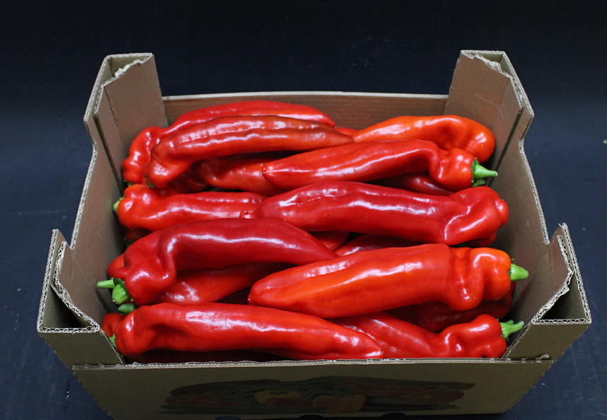 Paprika Punt Rood Middel