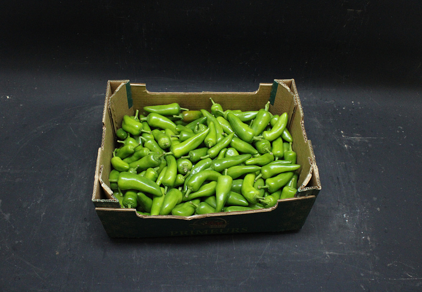 Peper Groen Jalapeno