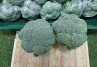 Broccoli exclusief