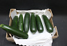 Courgettes 14 st. Kl. 1-2