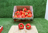 Paprika Rood 85