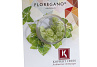 X Floregano Blossom