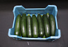 Courgettes Supers Kas 14 st.