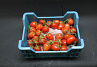 Tomaten Tros Pomodorie