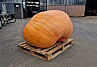 Pompoen Mega 467 kg.