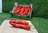 Paprika Punt Rood Supers